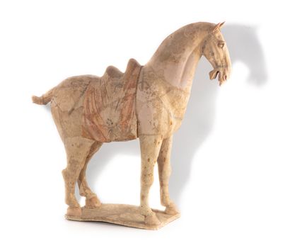 CHINE CHINE - Epoque TANG (618-907)

Importante statuette de cheval à l'arrêt en...