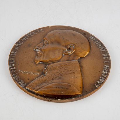 DAMMANN P.M. DAMMANN

Profil d'Henri DEGLANE

Médaille en bronze doré

D. : 10 c...