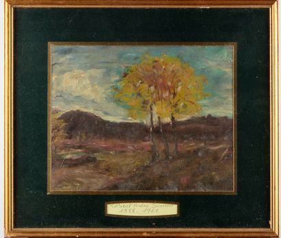 SIMON Robert Andre SIMON (1888-1961)

Paysage d'automne

Huile sur toile, signé en...