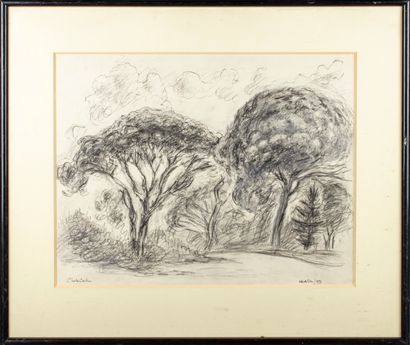 CACHIN Charles CACHIN - XXth

Trees 

Pencil drawing signed and located in Mandelieu...