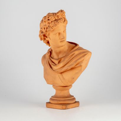 null From the ANTIQUE

Terracotta bust of the Apollo of Belvedere

Height: 33 cm...