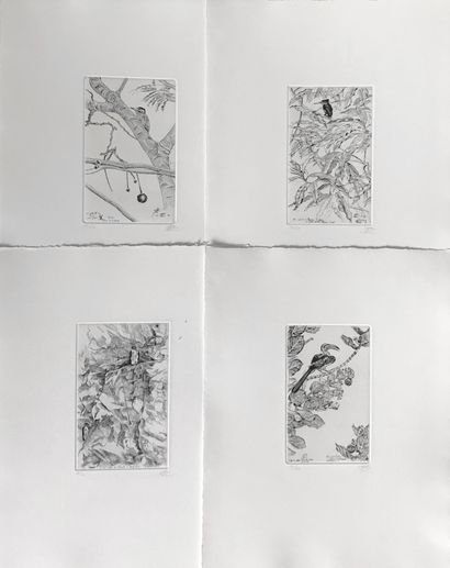 null François CAYOL - XXe

Oiseaux dans un paysage

Suite de quatre estampes en noir...