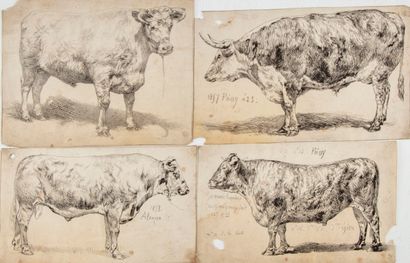 null Attribué à Pierre Frédéric LEHNERT (XIXe)

Vaches de concours bovin 

Suite...