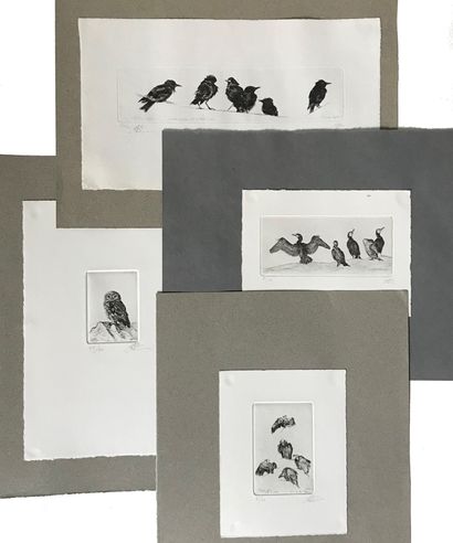 null François CAYOL - XXe

Oiseaux 

Suite de quatre estampes en noir et blanc (sur...
