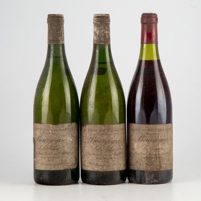 3 bouteilles : 2 BOURGOGNE1988 « Les Clous »...