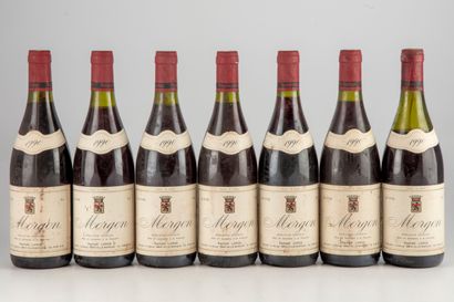 7 bouteilles MORGON 1990 Raphaël Large (Niveaux...