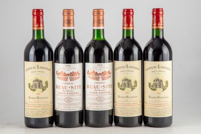null 5 bouteilles dont : 2 bouteilles CHATEAU BEAU-SITE 1996 Saint-Estèphe Cru Bourgeois,...
