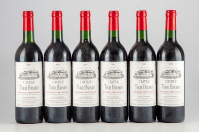 null 12 bottles of which : 9 bottles of CHATEAU TOUR BAYARD 2001 Montagne Saint Emilion...