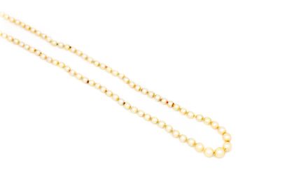 null Collier perles fines

L. : 55 cm