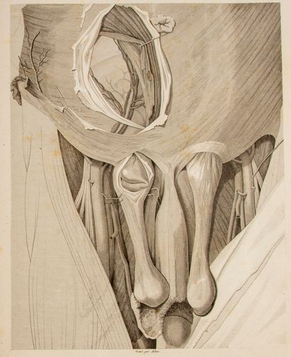 null SCARPA (Antonio). Practical treatise on hernias, or anatomical and surgical...