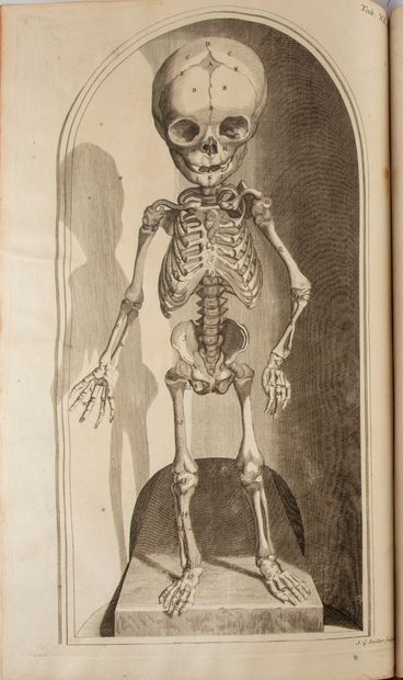 MANGET (Jean-Jacques). Theatrum anatomicum...