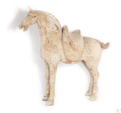 CHINE CHINE - Epoque TANG (618-907)

Statuette de cheval à l'arrêt en terre cuite...