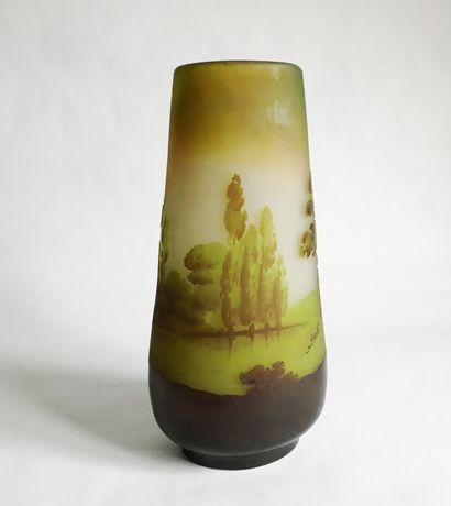 GALLE Emile GALLE (1846-1904)

Vase tubulaire en verre givré à décor multicouche...