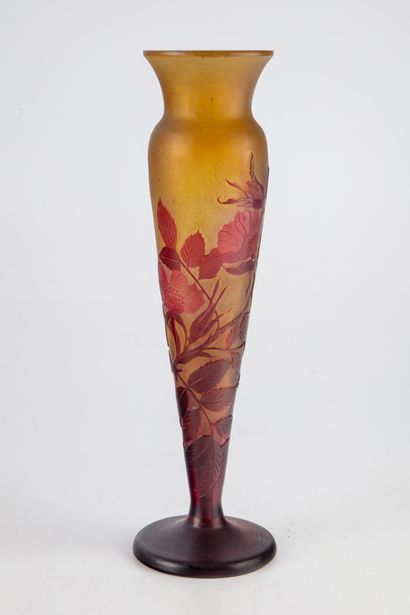 GALLE 
Emile GALLE (1846-1904)




Vase en verre multicouche à décor dégagé à l'acide...