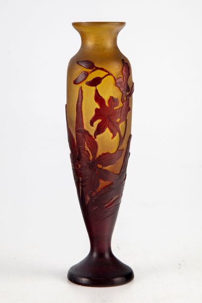 GALLE Emile GALLE (1846-1904)

Vase en verre multicouches à décor dégagé à l'acide...