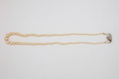 null Necklace of fine pearls in fall including 106 round pearls of 2,2 - 7,0 mm approximately,...