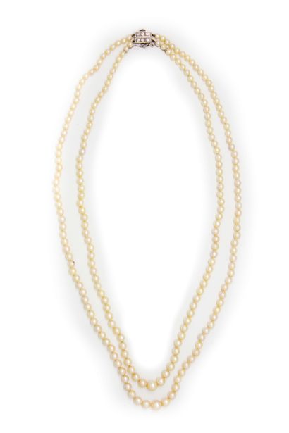  Double necklace of cultured pearls in fall, the clasp in white gold