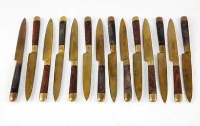 14 couteaux à fruits, manche en bois