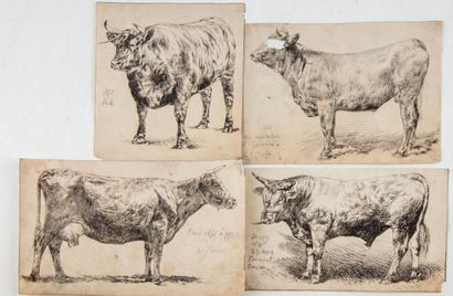 LEHNERT Attribué à Pierre Frédéric LEHNERT (XIXe)

Vaches de concours bovin 

Suite...