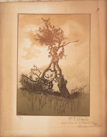 VIBERT Pierre Eugène VIBERT (1875-1937)

Tree

Engraving, countersigned and numbered...