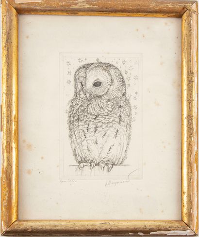 null Owl

Engraving, Artist's proof, countersigned lower right "Bracquemond

12,5...