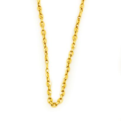Yellow gold long necklace with anchor chain...