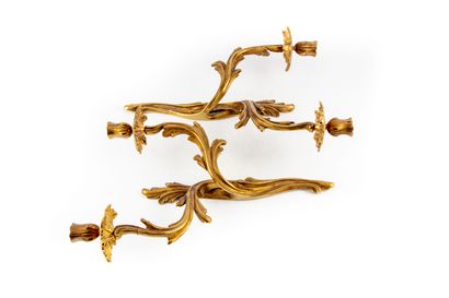 null Pair of ormolu sconces with two arms chased with Rocaille foliage


Louis XV...
