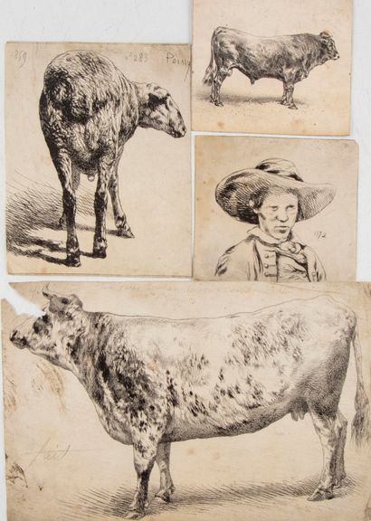 LEHNERT Attributed to Pierre Frédéric LEHNERT (XIXth)

Cows of bovine contest, portrait,...