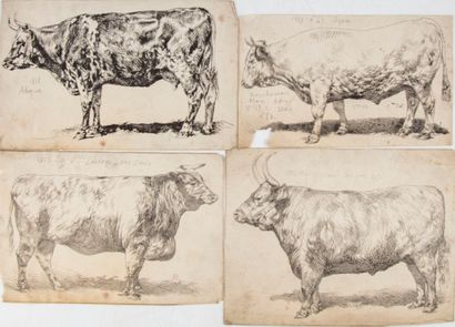 LEHNERT Attributed to Pierre Frédéric LEHNERT (XIXth)

Cows of bovine contest 

Suite...