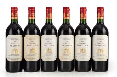 null "12 bouteilles Château Breillan 1993 Haut-Médoc

(N. 3 tlb, E. f, tlt)"