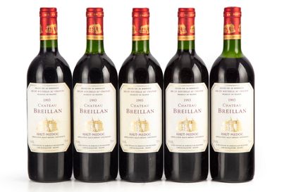 null "11 bouteilles Château Breillan 1993 Haut-Médoc

(N. 7 tlb, 1 lb, E. f, tlt...