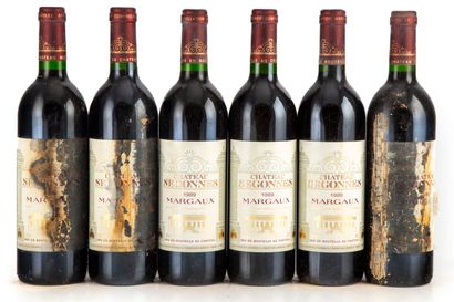 null "6 bottles Château Segonnes 1989 Margaux

(E. 3 f, lm, 3 ta, tt)"