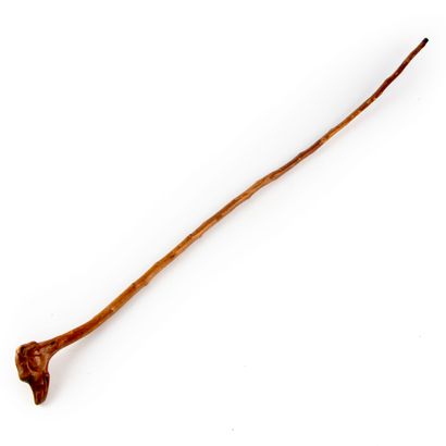 null Wooden cane, the knob in the shape of a dog's head 

H. 90 cm