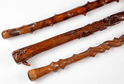 null Set of three canes :

-Big cane in thorny wood(4)

-Cane of hairy in thorny...