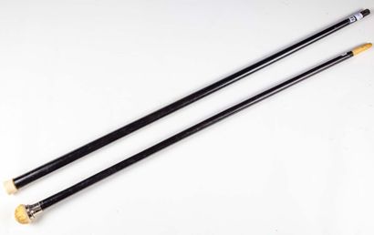 null Set of two canes:

-Cane of oval section with ebony shaft and ivory knob separated...