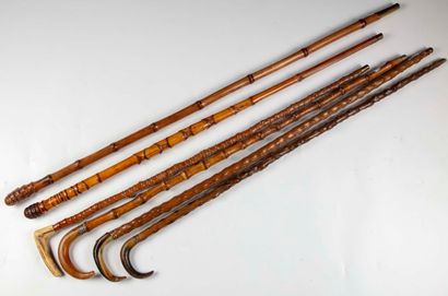 null Set of six canes :

-Bamboo cane with brass ferrule (15)

-Bamboo shaft cane...