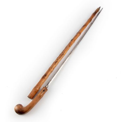 null Sword cane, pommel and shaft in natural wood, metal ferule. Blade of 69,5 cm...