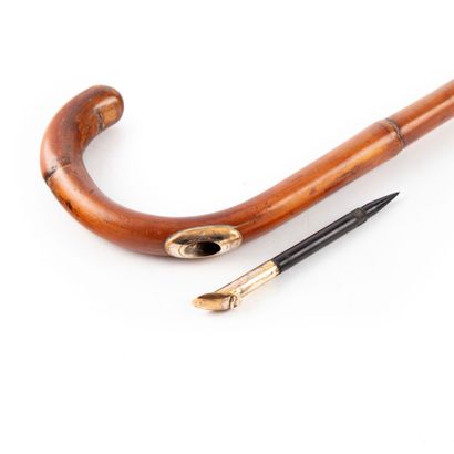 null Pencil system" turf cane that ejects from the curve of the handle by pressing...