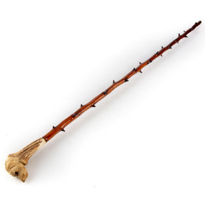 null Cane, the knob in deer wood carved in the shape of a dog's head, the shaft in...
