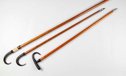 null Set of three mountain canes: 

- Mountain cane, the knob in chamois horn that...
