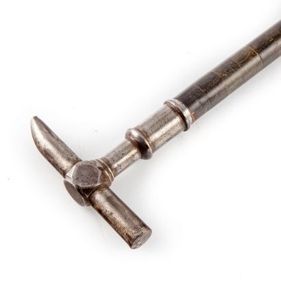 null Geologist's cane, the pommel in the shape of a hammer and the shaft made of...