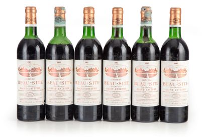 null "6 bouteilles Château Beau-Site 1983 Saint-Estèphe

(N. 4 lb/he, 2 he/me, E....