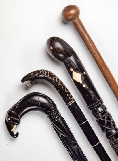 null Set of four exotic canes:

-Cane of Chief or African wizard in exotic wood....