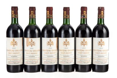 null "12 bouteilles Château Dillon 1985 Haut-Médoc

(N. 5 tlb, 4 lb, 2 he, 1 b, E....