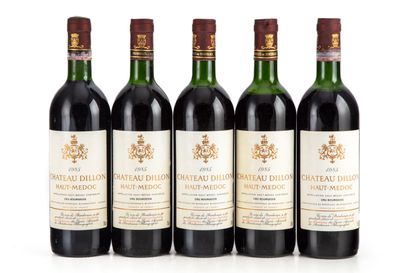null "11 bouteilles Château Dillon 1985 Haut-Médoc

(N. 6 he, 3 lb, 2 me, E. tlt...