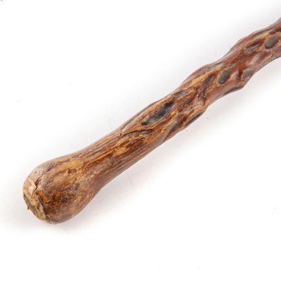 null Cane made of ox nerves, worked in the form of scarified wood

L.: 92 cm