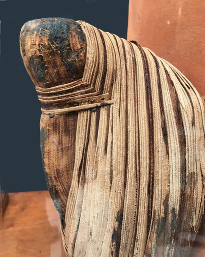 null Mummy of an ibis, the head folded towards the body covered with a cloth and...