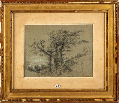Théodore Rousseau Théodore ROUSSEAU (1812-1867)

Study of trees

Pencil drawing and...