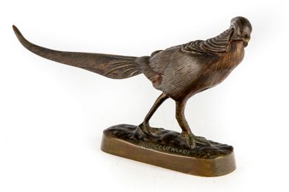 JACQUEMART Alfred JACQUEMART (1824-1896).

Pheasant

Bronze, signed on the terrase

H....