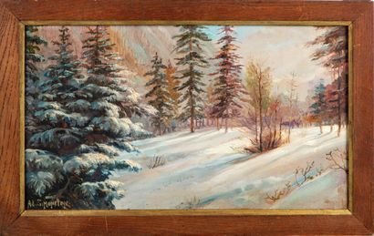 null Adrien SIMONETON (1862-1949)

Paire de paysages de montagne

Huile sur panneau,...